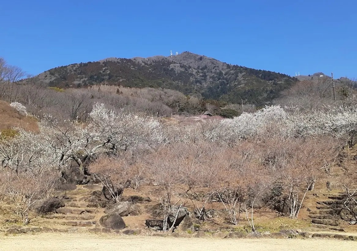 筑波山3月　登山　関東